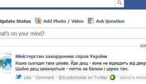 Министр Грищенко пишет про котиков на сайте МИД: "Кошка сегодня такая интересная". ФОТО