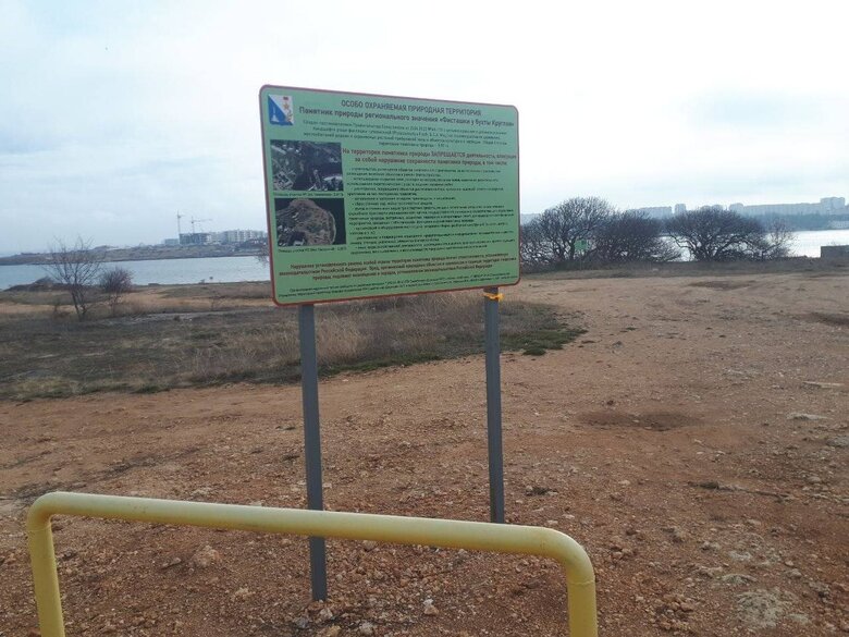 Occupation began with Crimea, de-occupation will begin with Crimea: Activists of Yellow Ribbon held action on peninsula 17