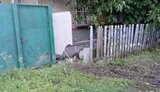 харківщина