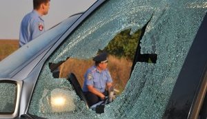 В посольстве Германии встревожены расстрелом машины немецкого бизнесмена под Одессой