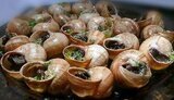 Экспорт украинских улиток в станы ЕС вырос в 2,5 раза