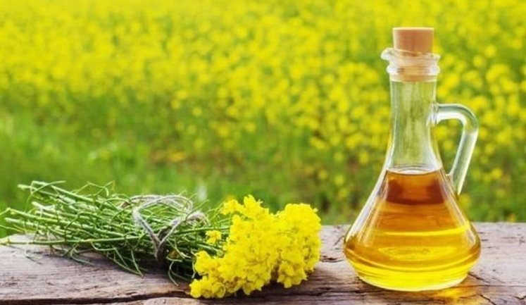 За рік валютна виручка від експорту ріпакової олії зросла у понад 3 рази