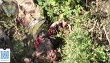 війна