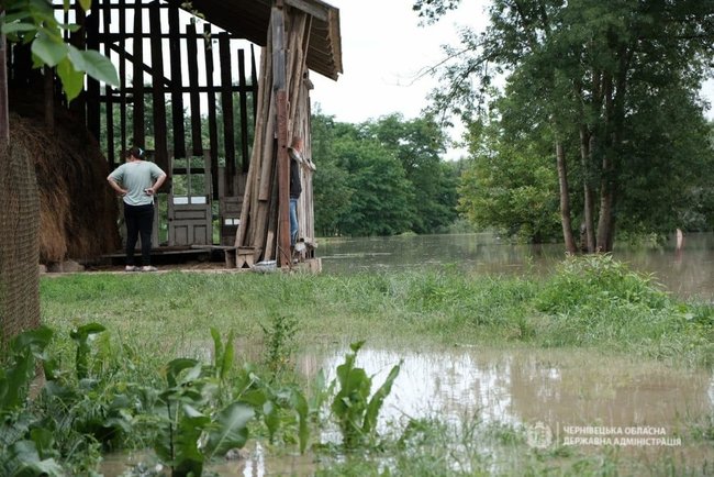 На Буковине 28 населенных пунктов подтоплены, 9 - без газа, 5 - без света, - ОГА 10 На Буковине 28 населенных пунктов подтоплены, 9 - без газа, 5 - без света, - ОГА 10