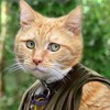 Олег Селянинов