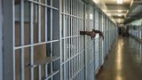 В Украине, не считая СИЗО, нужно оставить всего две тюрьмы, - Малюська