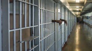 В Україні, окрім СІЗО, потрібно залишити лише дві в'язниці, - Малюська
