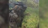 полонені