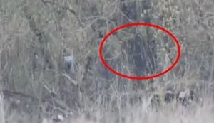 Ukrainian sniper eliminated Russian terrorist near Donetsk airport. VIDEO