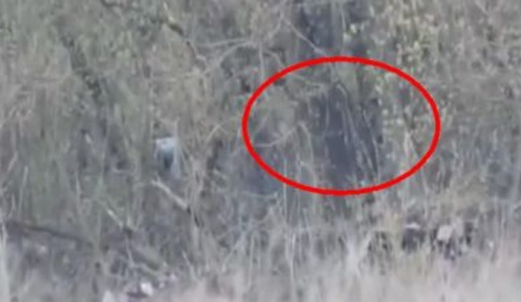 Ukrainian sniper eliminated Russian terrorist near Donetsk airport. VIDEO