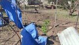 Shelling of the Nikopol district on 22 May