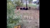 мобілізація