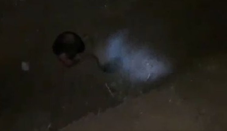 Окупанти живцем закопують свого поплічника в окопі: "Не ори нах#й! Поздно! Х#й тебя найдут!". ВIДЕО