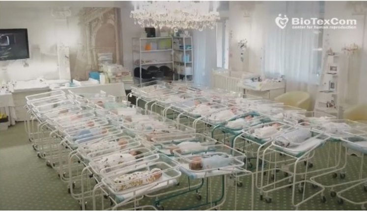 Дитячий омбудсмен Кулеба про скандал із дітьми з готелю "Венеція": Україна стає "міжнародним онлайн-магазином з немовлятами"