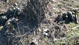 ліквідовані окупанти на вулиці валяються
