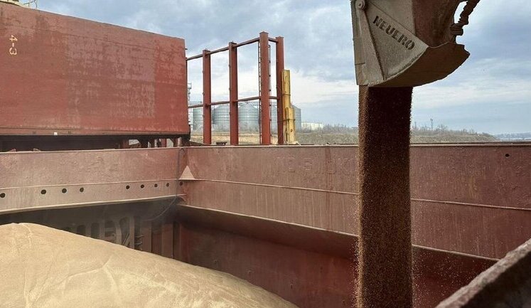 Ukraine scales up Grain from Ukraine initiative into Food from Ukraine