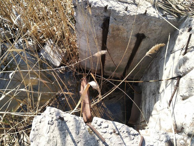 Цензор.НЕТ Изображение