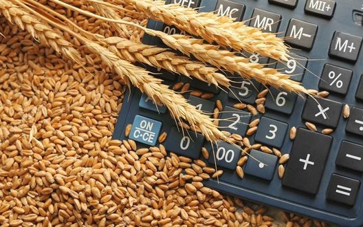 Вплив війни в Ірані: У Мінекономіки пояснили, на скільки зросте собівартість українського зерна