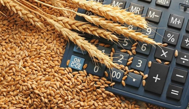 Біржові ціни на кукурудзу в Україні знижуються, дорожчають олійні культури