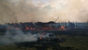 Под Киевом подожгли приют для животных. Мучительной смертью погибло более 70-ти собак. ФОТОрепортаж