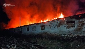 Горіла ферма, пошкоджено ЛЕП: наслідки удару РФ по Черкаській області. ФОТОрепортаж