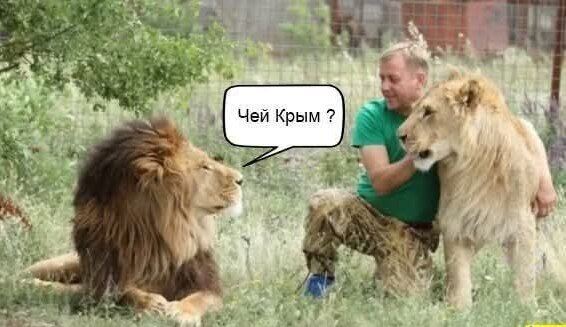 фотожаба