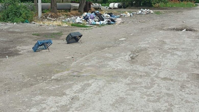 Мариупольцы охотятся на голубей, чтобы не умереть от голода, - СМИ 01