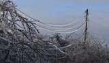 ЛЕП на Миколаївщині вкрилися льодом. В області - аварійні відключення