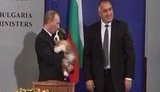 Новой собаке Путина предлагают дать имя Азаров. ВИДЕО.