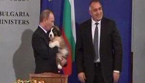 Новой собаке Путина предлагают дать имя Азаров. ВИДЕО.