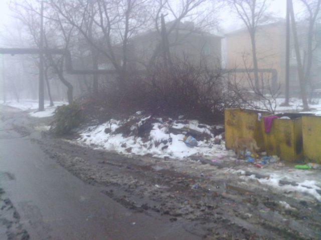 Цензор.НЕТ Изображение