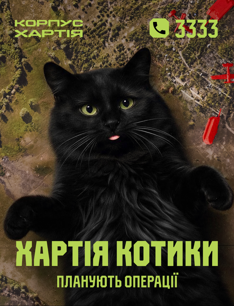 Хартия котики