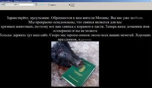 мусульмане хакеры