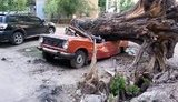 Одесса - месяц после урагана: город все еще завален ветками и деревьями. ФОТОрепортаж