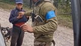 Деоккупация на Слобожанском направлении: архивные кадры