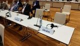 Украинская делегация бойкотировала выступление спикера Совфеда РФ Матвиенко на Всемирной конференции глав парламентов, - Кондратюк. ФОТО