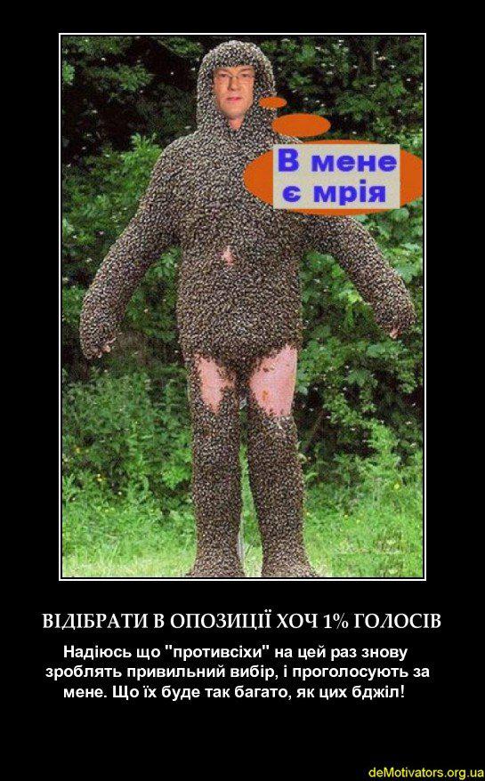 Мрійник