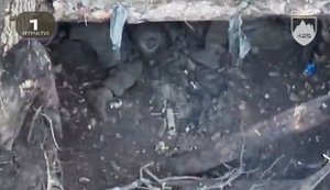 Оператори дронів "Скелі" ліквідували 12 окупантів у лісах на Покровщині. ВIДЕО