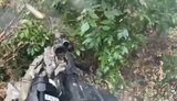Боец стреляет в упор в российского морпеха, который перепутал украинских воинов со своими: "Вы из 61-й?" - "Что-что?". ВИДЕО