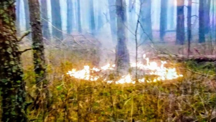Нацгвардия начала антидиверсионную операцию. В Чернобыльской зоне пресекли попытку нового поджога, - Аваков. ФОТОрепортаж