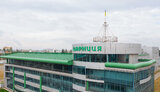 дарниця