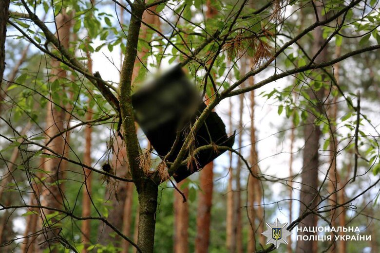 Два шахеди виявили у лісі на околицях Києва