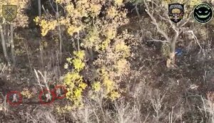Soldiers of 56th SMIB eliminate Russian infantry and their hideouts with drone strikes. VIDEO