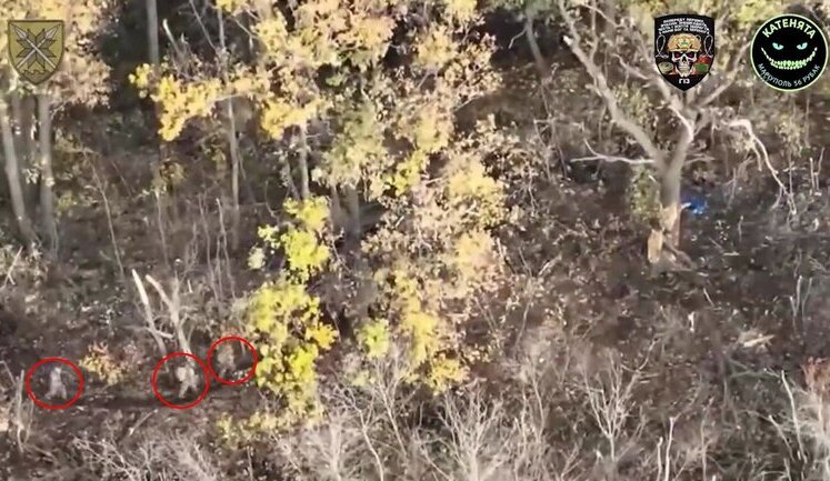 Soldiers of 56th SMIB eliminate Russian infantry and their hideouts with drone strikes. VIDEO