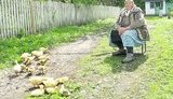 мать
