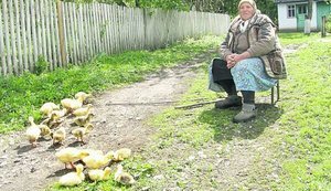Мать террориста "Абвера": "Знала бы, что сын предаст Украину - задушила бы собственными руками!"