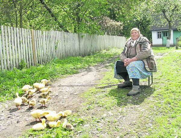 мать