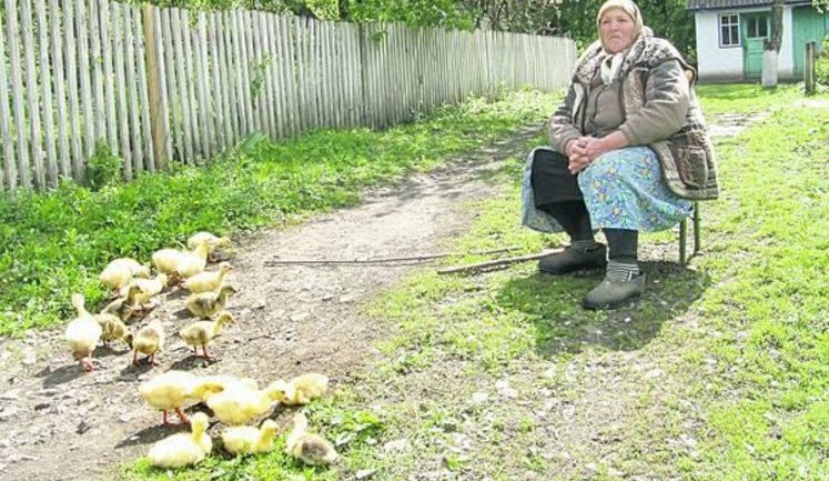 Мать террориста "Абвера": "Знала бы, что сын предаст Украину - задушила бы собственными руками!"