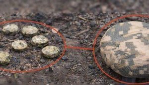 Дистанційно замінували район Корабел в Херсоні