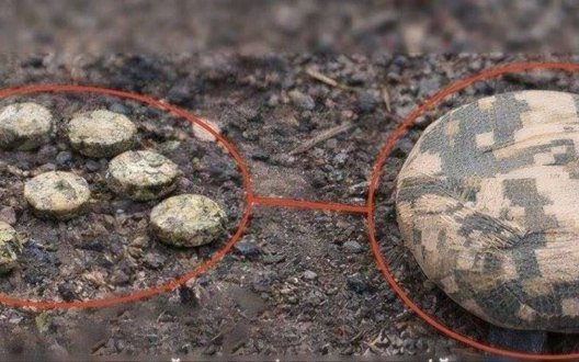 У Херсоні ворог дистанційно мінує вулиці 